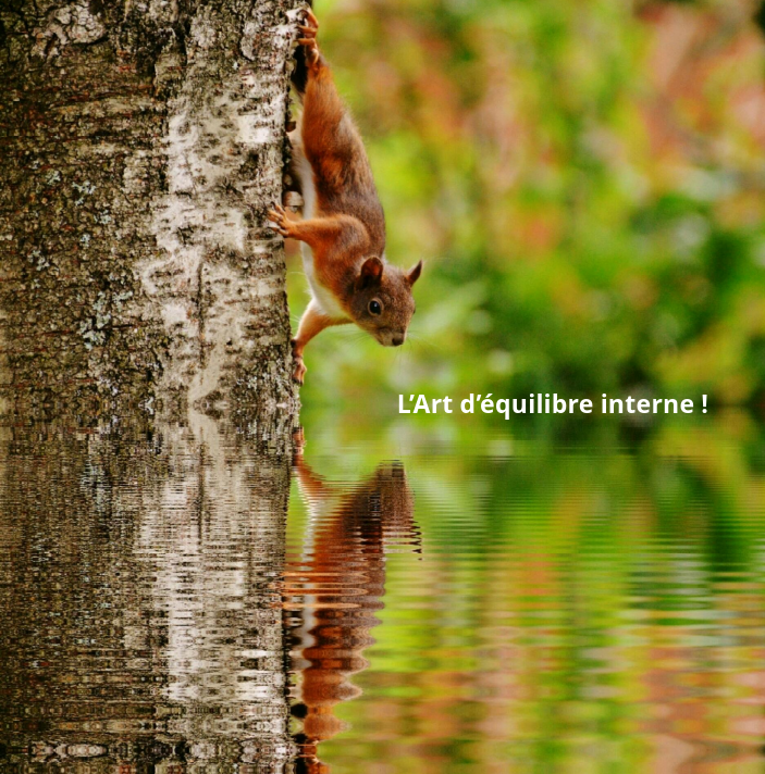 Art equilibre interne 2025