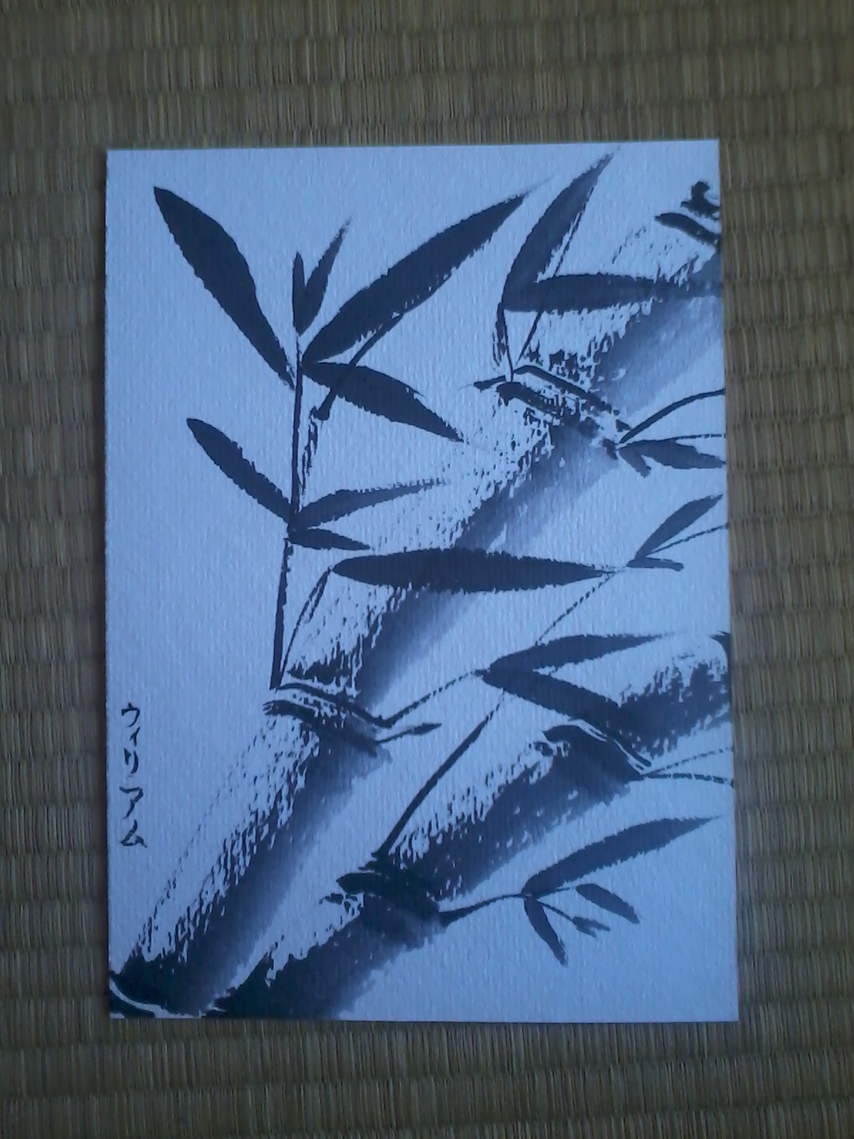 Cpeinture-Japonaise