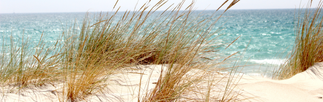 weekend escapade entre mer et plantes sauvages 2024