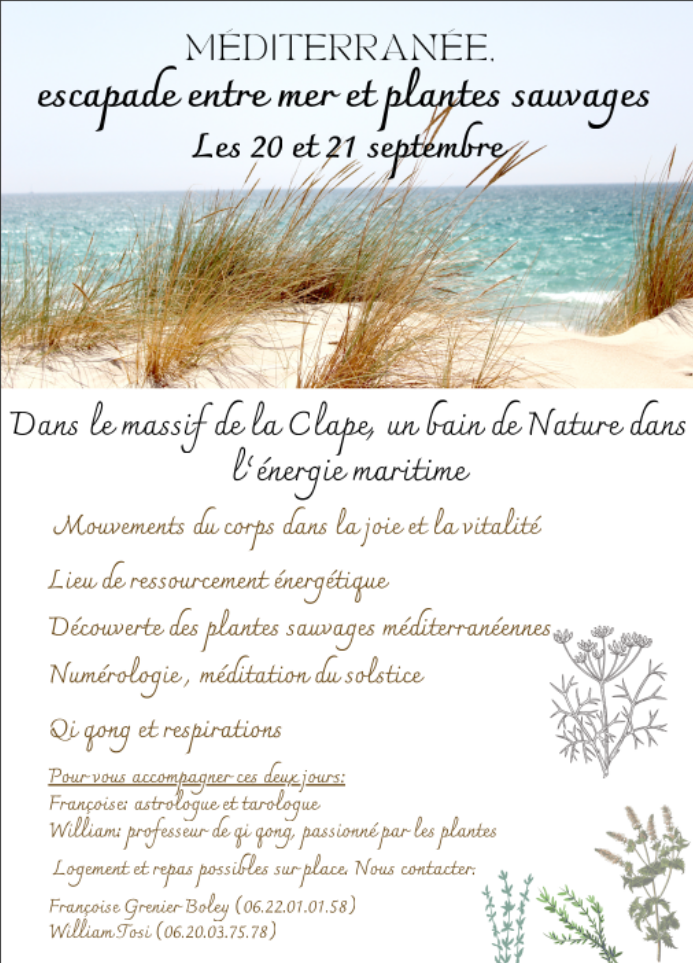 weekend escapade entre mer et plantes sauvages 2025